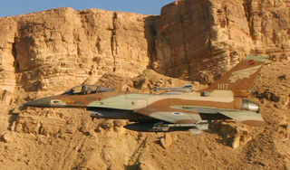 (Israeli Defense Forces)